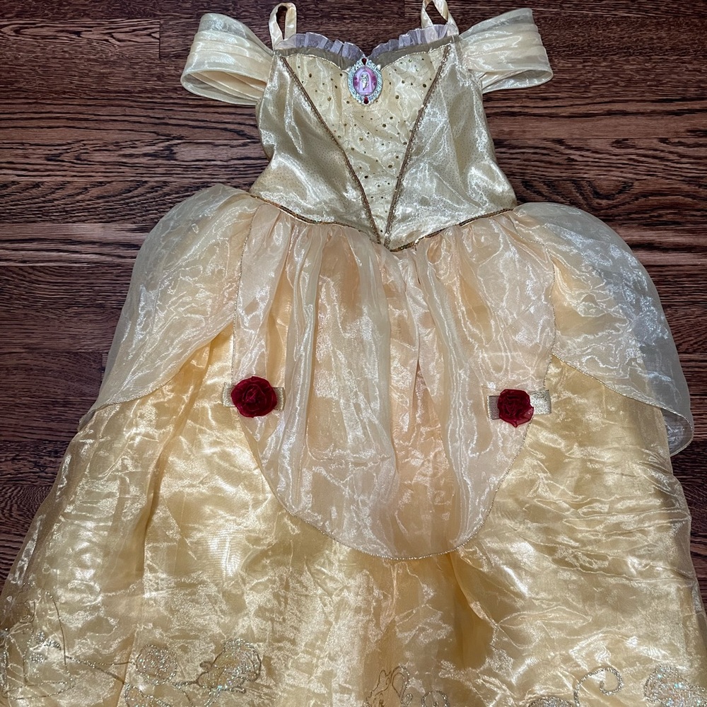 Disney Costume